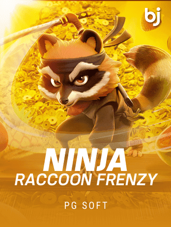Ninja Raccoon Frenzy icon